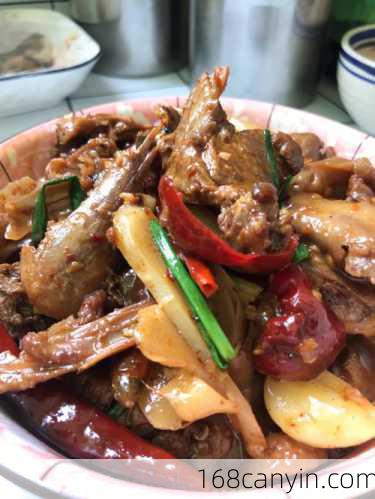 红烧鸭子的家常做法