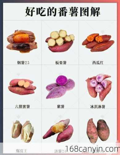 白薯的营养价值