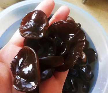 东北黑木耳_东北黑木耳哪里产的最好