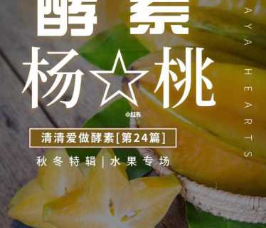 水果酵素的做法大全