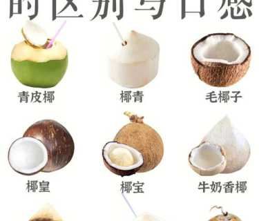 椰子的功效与作用