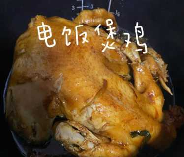 电饭煲焖鸡_电饭煲焖鸡怎么做
