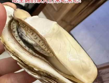 牡蛎怎么吃_牡蛎怎么吃,要去除脏东西吗