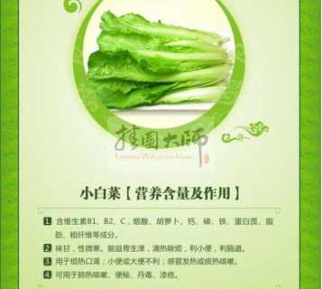 白菜的功效与作用