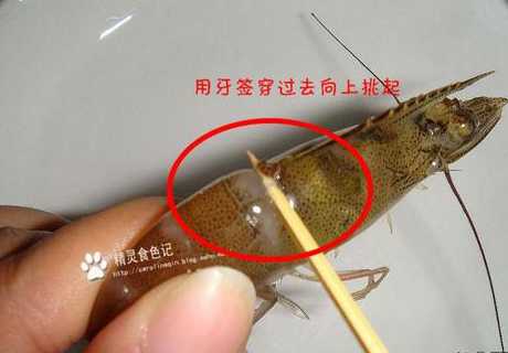 基围虾去虾线_基围虾去虾线的绝招