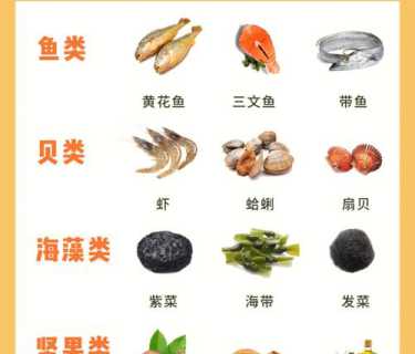 富含dha的食物