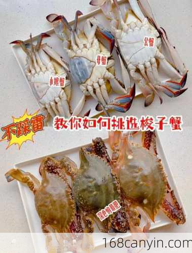 梭子蟹怎么吃_梭子蟹怎么吃才正确