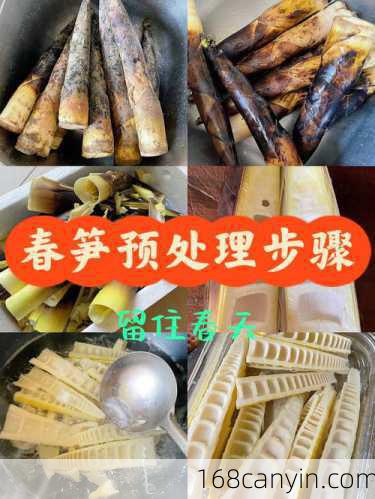 新鲜竹笋怎么处理