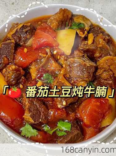 番茄牛腩做法_番茄牛腩做法文字
