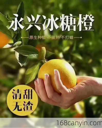 冰糖橙子_冰糖橙子的功效与作用