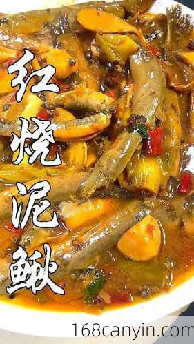 红烧泥鳅的做法_红烧泥鳅的做法大全家常做法