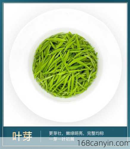 信阳毛尖_信阳毛尖明前茶