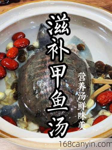 炖甲鱼汤的做法_炖甲鱼汤的做法视频