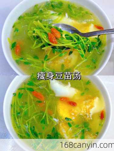 瘦身汤的做法_瘦身汤的做法大全