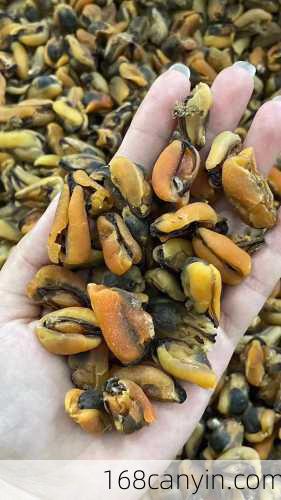 淡菜_淡菜的功效与作用禁忌
