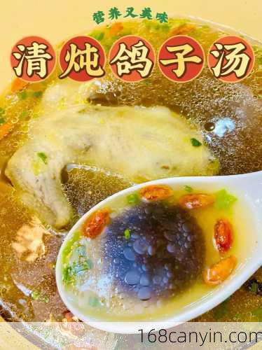 白鸽汤的做法_白鸽汤的做法大全