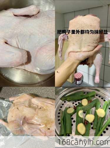 鹅的做法_鹅的做法大全菜谱