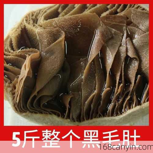 毛肚_毛肚是什么动物身上的