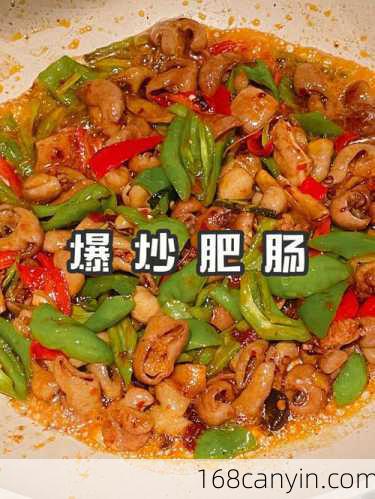 肥肠怎么做好吃_肥肠怎么做好吃视频教程