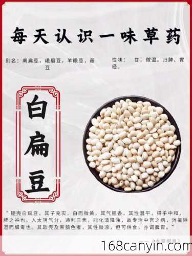 扁豆_扁豆的功效与作用