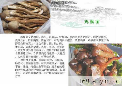 鸡枞_鸡枞菌功效