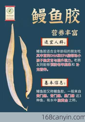 鳗鱼的功效与作用
