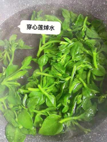 凉拌穿心莲的做法
