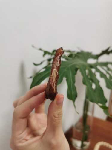 猪肉干做法_猪肉干做法在家自己做最简单