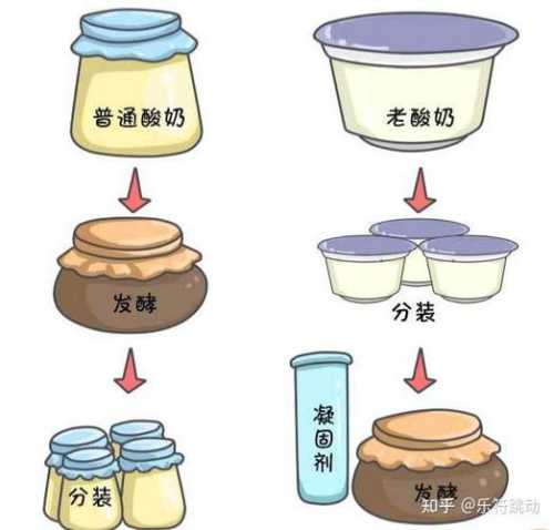 凝固型酸奶_凝固型酸奶和搅拌型酸奶有何不同