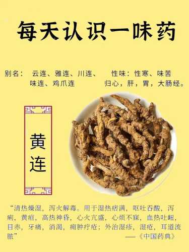 黄连的功效与作用