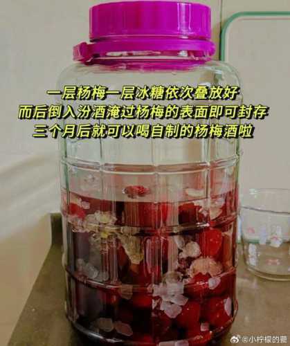 杨梅酒的做法和功效