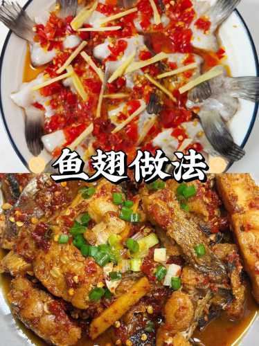 鱼翅怎么做好吃_鱼翅怎么做好吃又简单方便视频