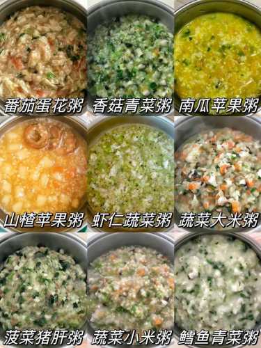 蔬菜粥的做法_蔬菜粥的做法大全养胃营养
