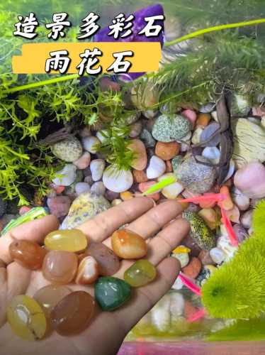 雨花石的做法_雨花石的做法视频