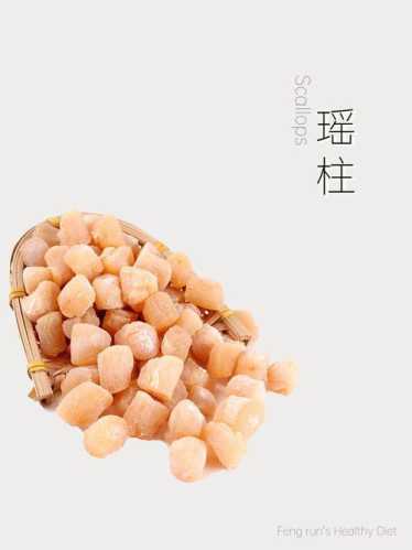 干贝的功效与作用