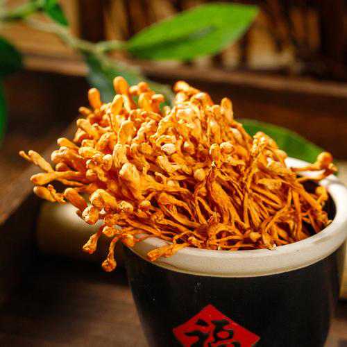 虫草花_虫草花的功效与作用