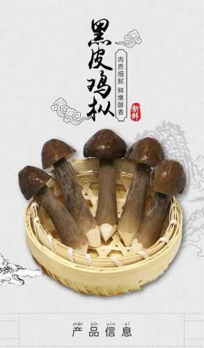 鸡枞菌的做法_黑色鸡枞菌的做法