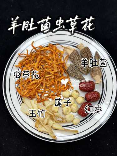 炖羊肉汤的做法_虫草花炖羊肉汤的做法