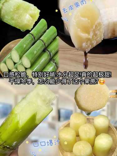 甘蔗怎么吃_甘蔗怎么吃最好