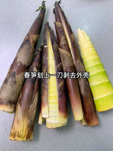 油焖春笋的正宗做法