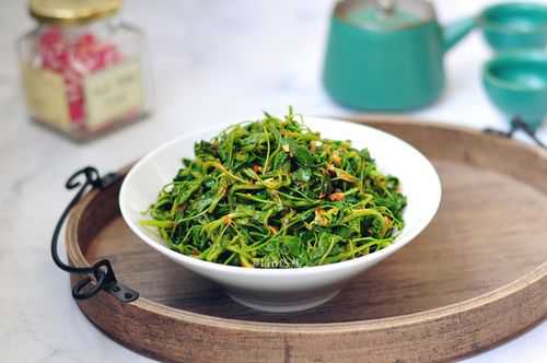 苜蓿怎么吃家常菜谱