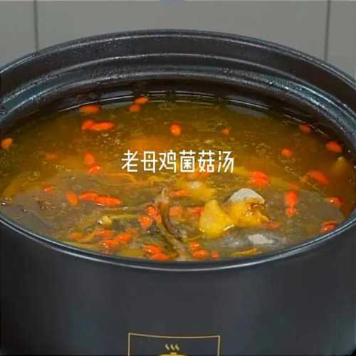 老母鸡大补汤的做法