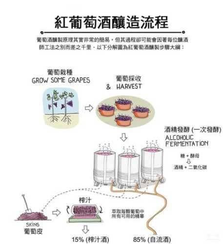 自酿红葡萄酒的做法