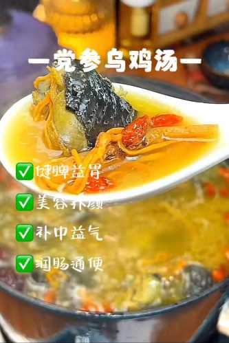 炖乌鸡汤的做法