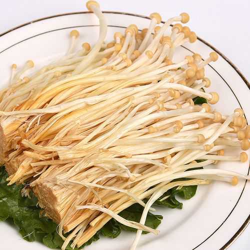 银针菇_银针菇金针菇区别图片