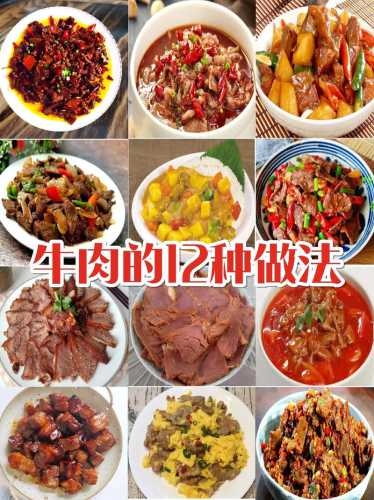 牛肉的做法_牛肉的做法大全家常