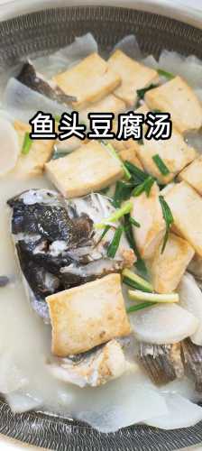 鱼头汤的做法_鱼头汤的做法最正宗的做法视频