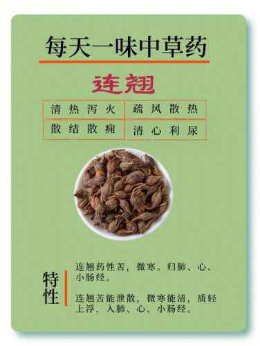 连翘_连翘的功效与作用