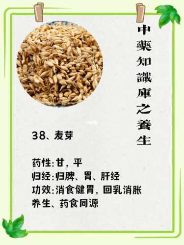 麦芽的功效与作用