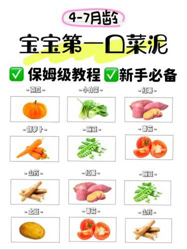蔬菜泥的做法_蔬菜泥的做法婴儿辅食